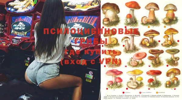 гашик Верхнеуральск