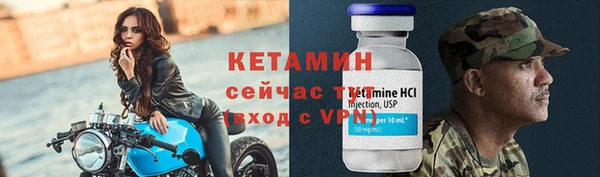 стаф Сосновый Бор