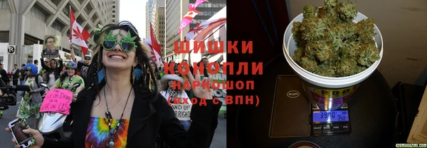 мдпв Верея